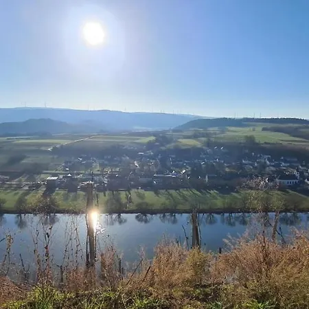 Fewo Sonnenlay - Apartments An Der Mosel Brauneberg Eksteriør billede