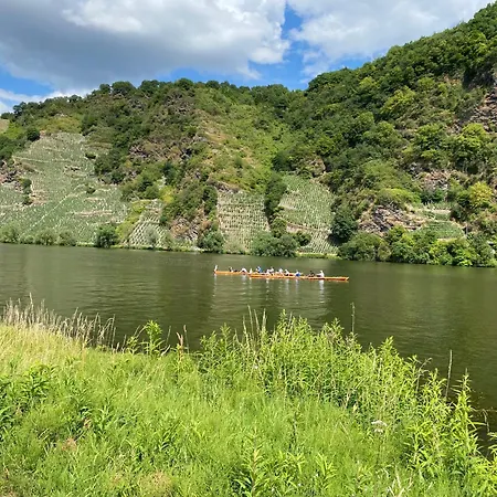 Fewo Sonnenlay - Apartments An Der Mosel Brauneberg Eksteriør billede