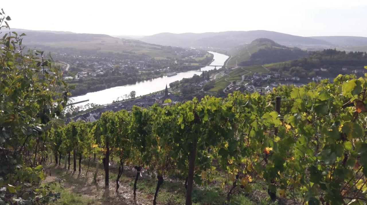 Sonnenlay - An Der Mosel