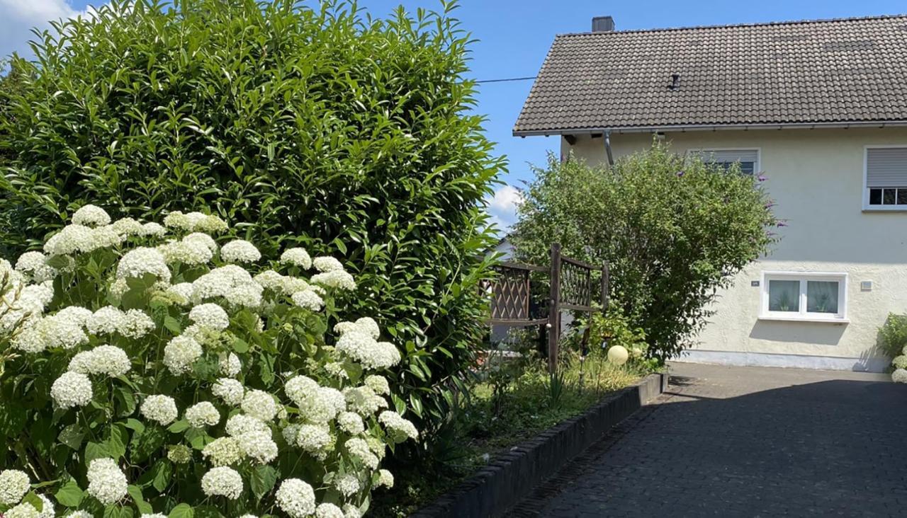 Apartment Sonnenlay - An Der Mosel Brauneberg